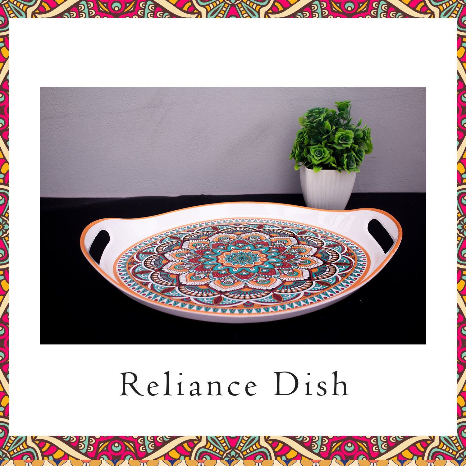 Reliance Dish (Pack of 3)